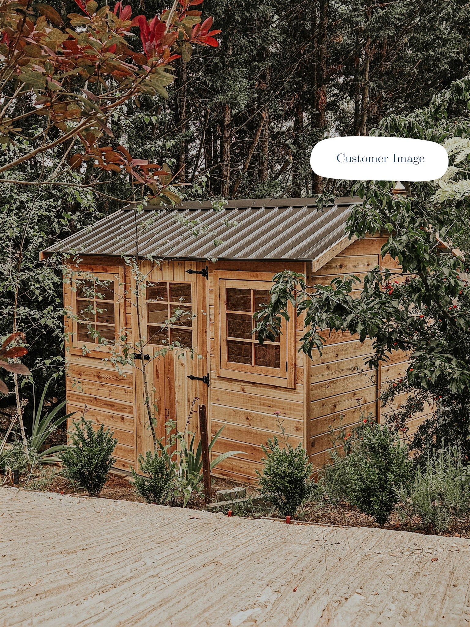 Hazel 9x6 Cedar Timber Shed - Image 5